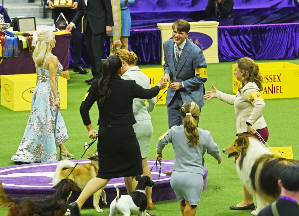 2023 Westminster Kennel Club
